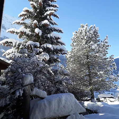 츄겐 아파트먼트 - 노 키친 * 그린델발트