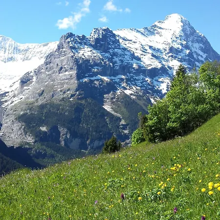 דירה Tschuggen - No Kitchen *