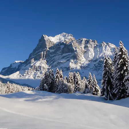 츄겐 아파트먼트 - 노 키친