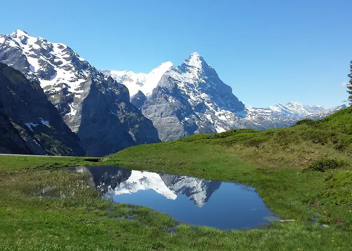 公寓 楚艮公寓（无厨房） 格林德瓦