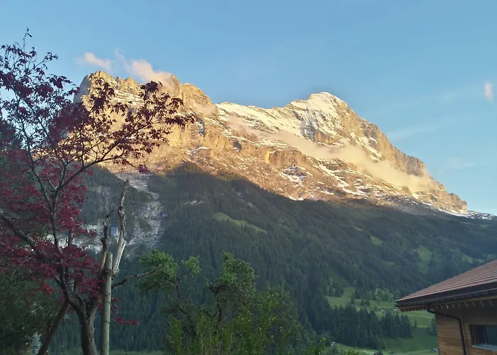 楚艮公寓（无厨房）