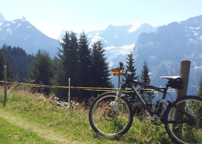 Tschuggen - No Kitchen Apartmán