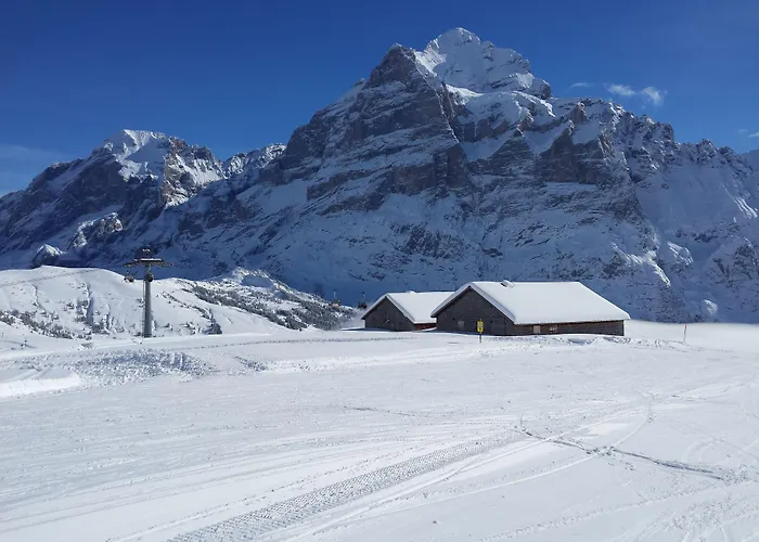 楚艮公寓（无厨房） * 格林德瓦