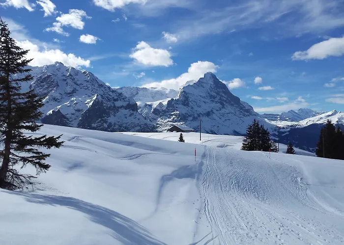 公寓 楚艮公寓（无厨房） *