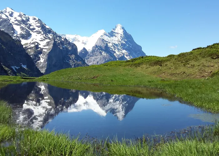 公寓 楚艮公寓（无厨房） *