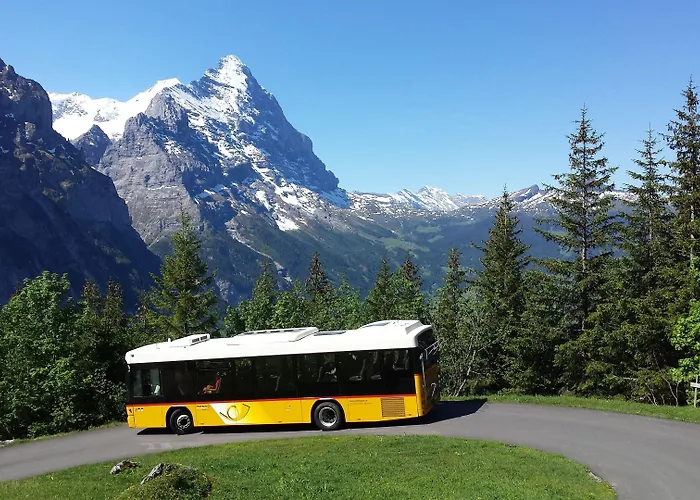 楚艮公寓（无厨房） *