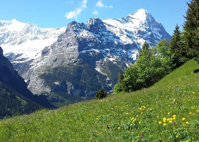 Apartment Tschuggen - No Kitchen *