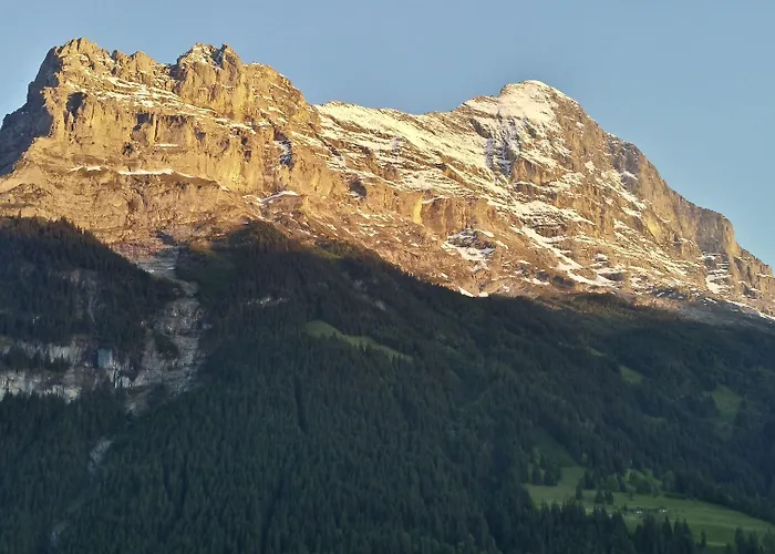 楚艮公寓（无厨房） 格林德瓦