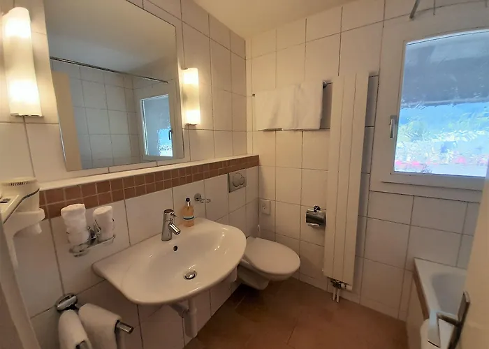 公寓 楚艮公寓（无厨房） 格林德瓦