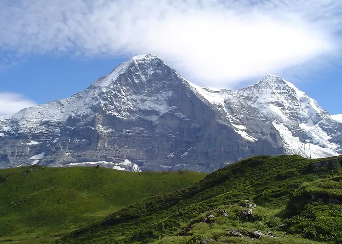 公寓 楚艮公寓（无厨房） 格林德瓦