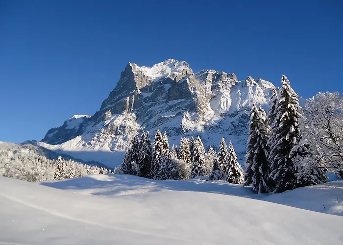 楚艮公寓（无厨房）