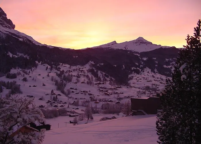 楚艮公寓（无厨房） 格林德瓦