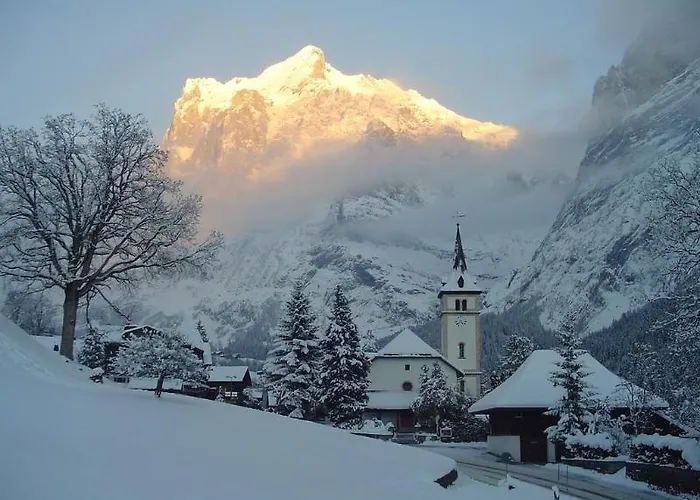 楚艮公寓（无厨房） * 格林德瓦