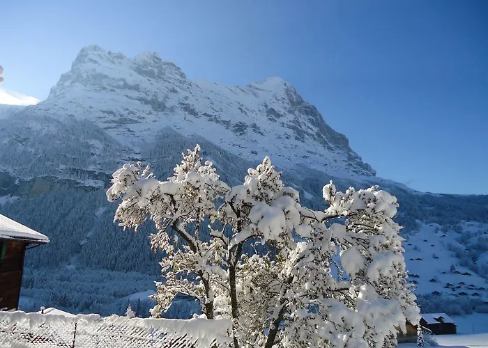 Apartment Tschuggen - No Kitchen