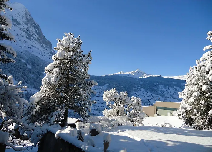 楚艮公寓（无厨房） * 格林德瓦