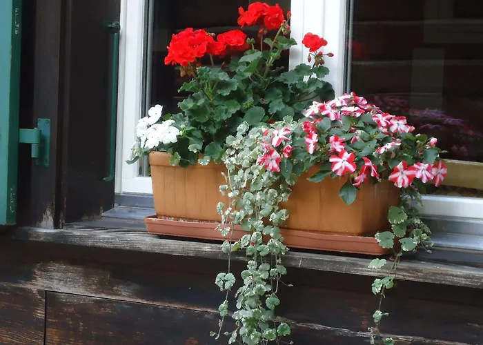 Tschuggen - No Kitchen Apartment *