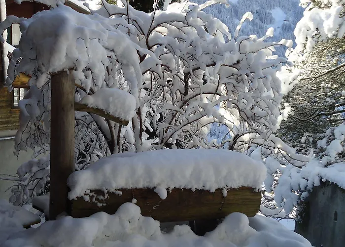 楚艮公寓（无厨房） 公寓 格林德瓦