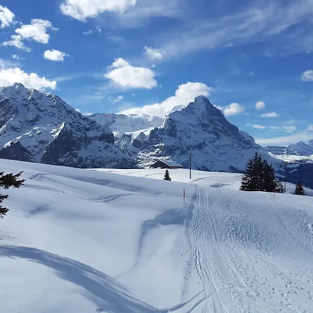 Appartement Tschuggen - No Kitchen *