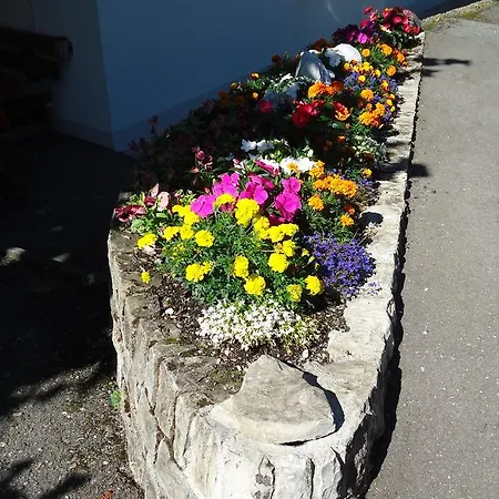 Appartement Tschuggen - No Kitchen