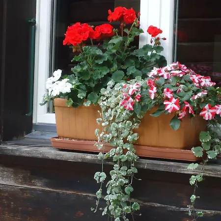 Tschuggen - No Kitchen Appartement *